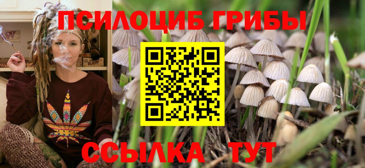 Псилоцибиновые грибы мухоморы  Псилоцибиновые грибы мицелий  Кандалакша  Вход с VPN 